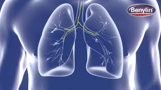 Benylin® Wet Cough Starts to Work quickly!