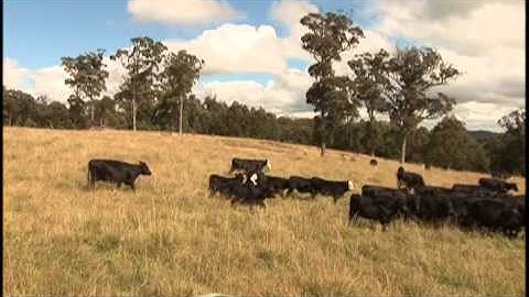 The First Millimeter: Healing the Earth