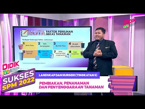 Video: Pembiakan ceri dengan keratan dan biji: penerangan, penjagaan dan cadangan