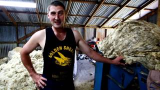 World Champion Shearer Gavin Mutch