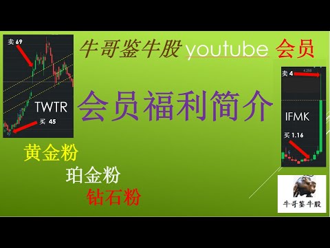 100 欢迎加入牛哥鉴牛股油管会员 Youtube 100 欢迎加入牛哥鉴牛股油管会员 Youtube
