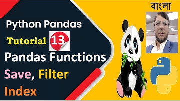 Python Pandas Tutorial 13: Pandas Functions (Save, Filter, Index) | Bangla | Aksadur Rahman