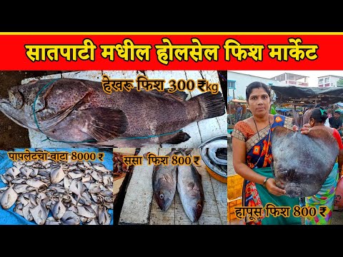 सातपाटी मधील होलसेल फिश मार्केट | Wholesale Fish Market in Satpati | 2021 | पालघर