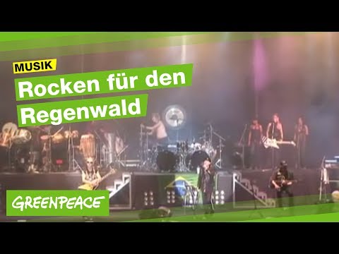 Die Grossen Walder Des Nordens Brauchen Schutz Youtube