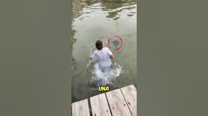 Él no sabia que era un animal muy peligroso 😨
