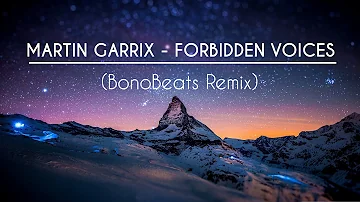 Martin Garrix - Forbidden Voices (Future House Remix) FREE DOWNLOAD!