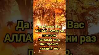 Доброе утро!    Да хранит Вас АЛЛАХ! - сотни раз повторю,Каждый день Ваш хранит, каждый шаг.