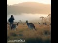 Blue Mountains National Park, Australia. Behold the world through the lens of an AI!.