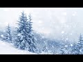 Brrrr, it&#39;s cold! Let&#39;s stay inside and listen to the storm sounds | Blizzard White Noise for Sleep