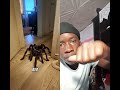 What Really Happens when You bite Your Nails