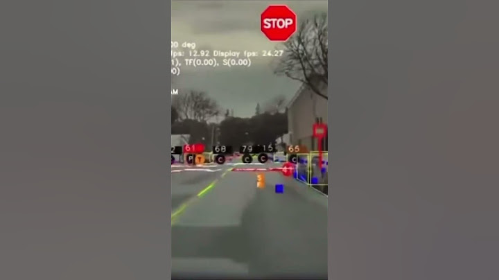 What Tesla’s automatic pilot see #tesla  #viral #foryou #fpyシ #funny #fpy #automobile #incredible