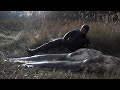 Подводная охота на СОМА (Spearfishing for Catfish)