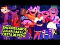 Encontramos el Lugar para la Fiesta de Pepo - Bely y Beto