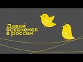 Давай останемся в России. Дмитрий Андреев о «Другом Данилове»