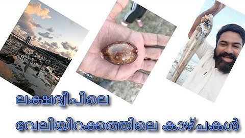 ലക്ഷദ്വീപിലെ വേലിയിറക്കം./ വേലിറക്കത്തിലെ കാഴ്ചകൾ/ #lakshadweep #ലക്ഷദ്വീപ് 