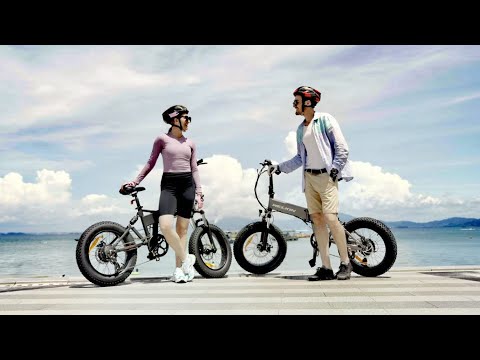 Welkin electric bicycle WKES001 EU stock for sale - Citycoco