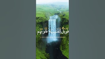 تلاوة رائعة بصوت الشيخ ياسر الدوسري - راحة نفسية 🤍🤍