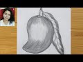 How to draw a mango by pencil sketch for beginners, for kids,step by step.