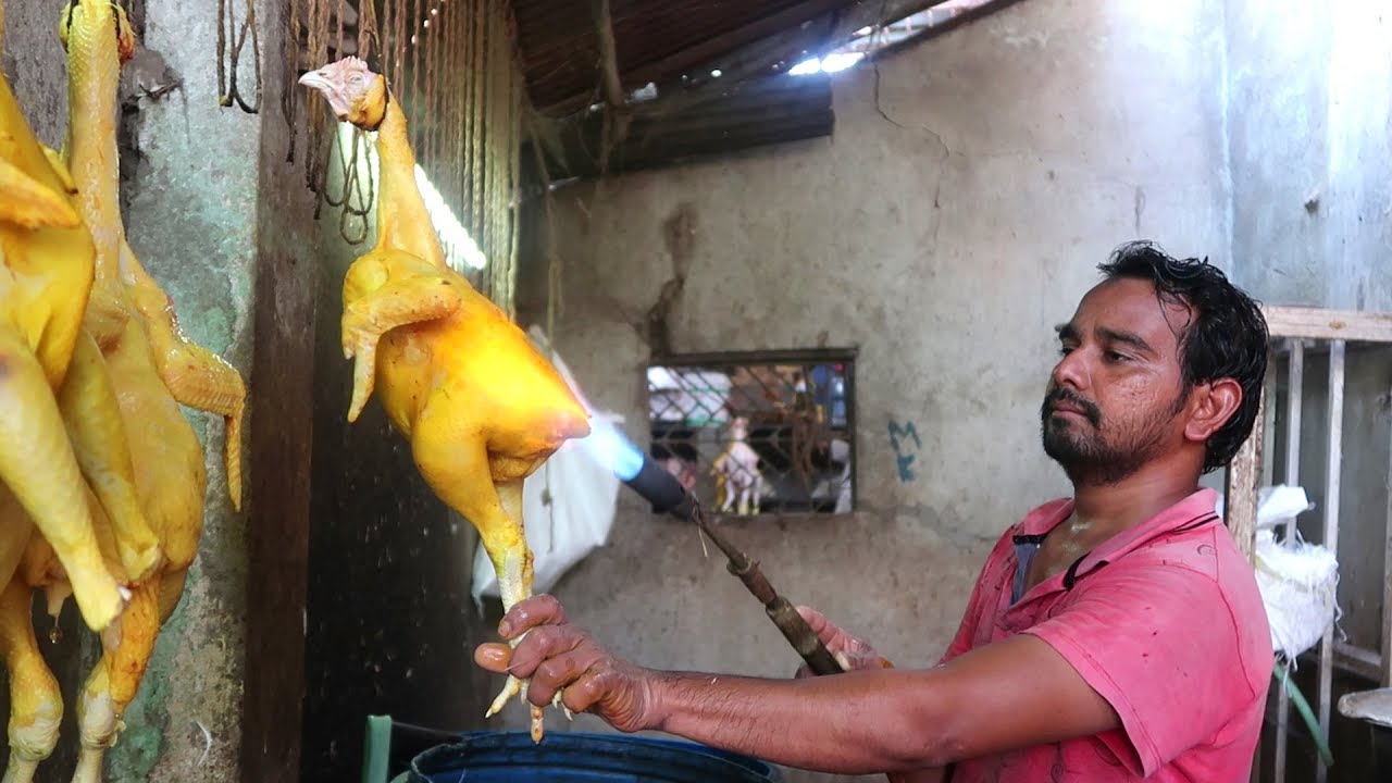 Full Chicken with Bones and Skin | Jampeta Sunday Chicken Market | Rajahmundry | Chicken Process | Street Food Zone