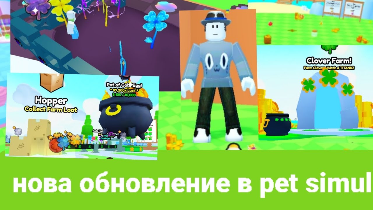 нова обновление в Pet Go