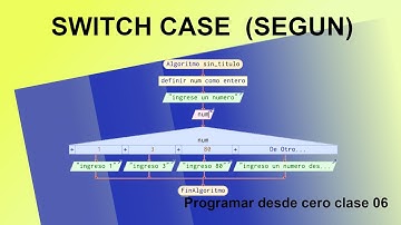 Estructura Condicional SEGUN (Sentencia Switch y Case) I Programar desde cero clase 06