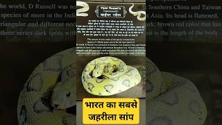 सबसे जहरीला सांप | Russell&#39;s Viper Venomous Snake