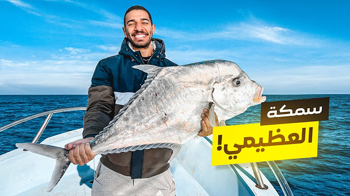 تحدي صيد أكبر سمكة 🤯 | (العظيمي اللماعة 💎)