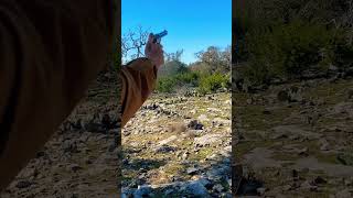 Shooting a 3rd Generation Colt Single Action Army in 45 Colt