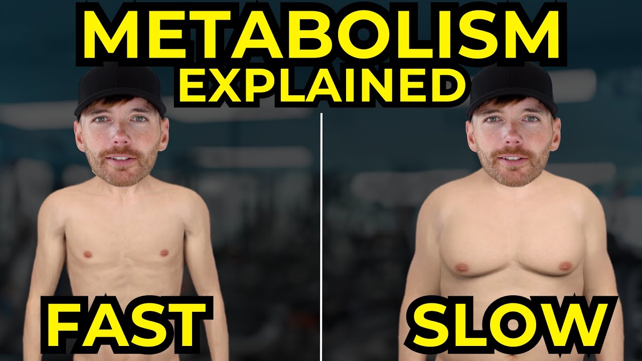 Are Fast And Slow Metabolisms Real