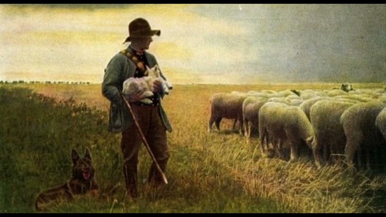 Weil ich Jesu Schäflein bin  /  Trekharmonica & Orgel NAK Breda (NL)