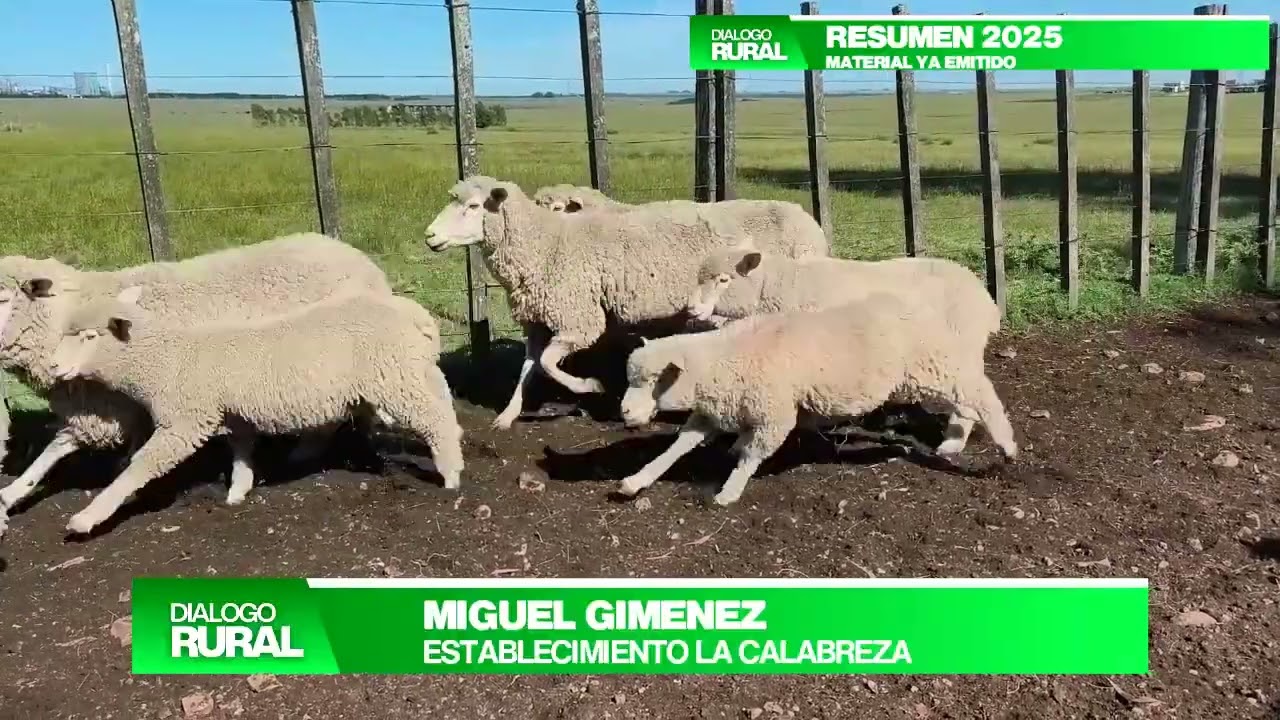 DIALOGO RURAL TV PROGRAMA Nº 92