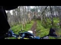 DR650 in the woods