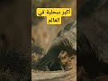 سحلية تنين كومودو الخطـيرة . #short