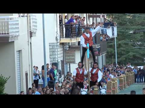 Fuste 2015