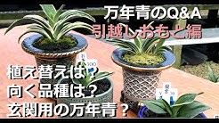 おもとの豊明園 Toyotaka Mizuno