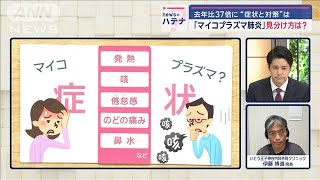 マイコプラズマ肺炎の見分け方 「3日目の咳がポイント」 医師が解説する症状と対策【スーパーJチャンネル】(2024年10月2日)