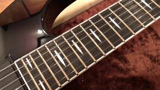 ESP JEFF HANNEMAN BLACK