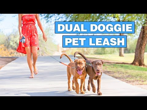 dual-doggie-pet-leash---double-retractable-dog-leash