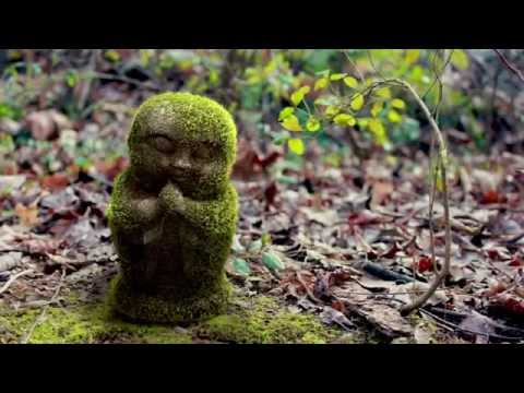 Demo reel 2015  Lighting & CG Generalist