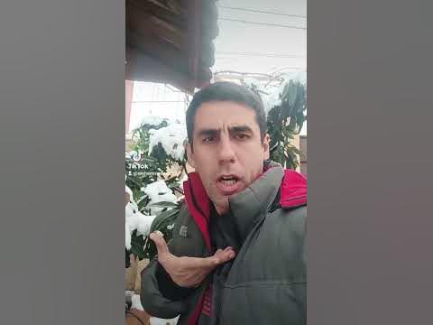 джентльмен удаци - YouTube