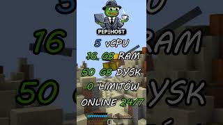 Najlepszy Hosting Minecraft - PepeHost