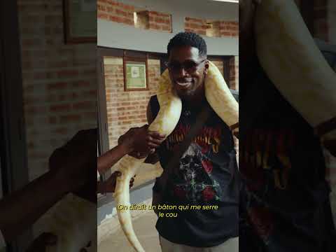 Zimondo Not Very Reassured Congo Manzala Nsele