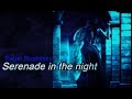 Serenade in the night --  Pavel Ruzhitsky  (Music Video)