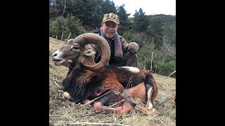 Hunt Trip Spain mouflon hunt