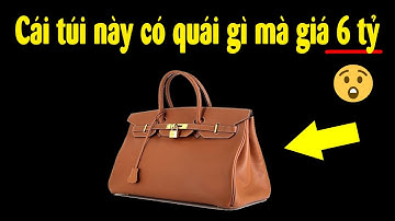 Tại sao Túi xách Hermes Birkin có giá siêu đắt đỏ??