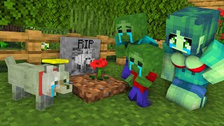 Monster School : R.I.P DOG , Who Did It ? - Sad Story - Minecraft Animation