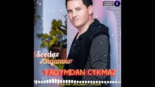 Serdar Atajanow - Yadymdan cykmaz        #2021 #newmusic #serdaratajan