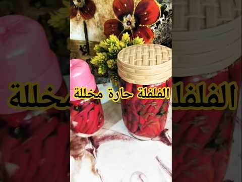 الفلفلة حارة الفلفلة مخللة المزاود مرقدين الفلافل مرقدين الفلافل حارين مرقدين