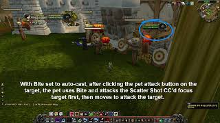 wow mop classic pet autocast Bite, Claw, Smack bug