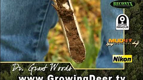 Food Plot Success Tip: Soil Samples